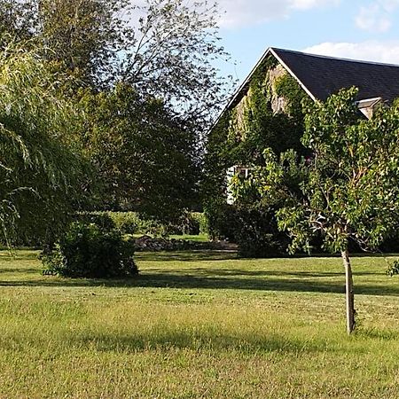 Gite Le Campagnard Saint-Germain-Des-Bois  Exterior foto